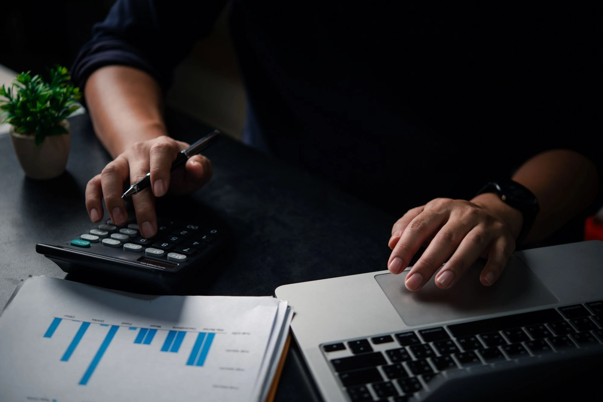 How small business accountants support growth and compliance